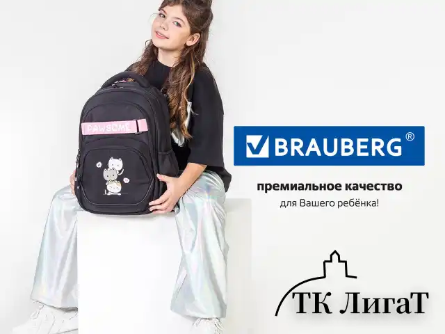 Рюкзак BRAUBERG MOTION, 2 отделения, 3 кармана, "Cat tower", 41х28х17 см, 272033