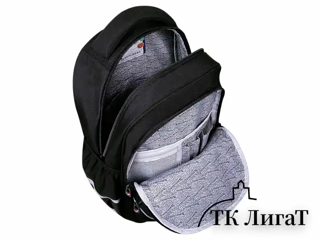 Рюкзак BRAUBERG MOTION, 2 отделения, 3 кармана, "Cat tower", 41х28х17 см, 272033