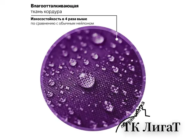 Ранец BRAUBERG KIDS STANDARD, 2 отделения, "Playing kittens", 36х28х14 см, 272038