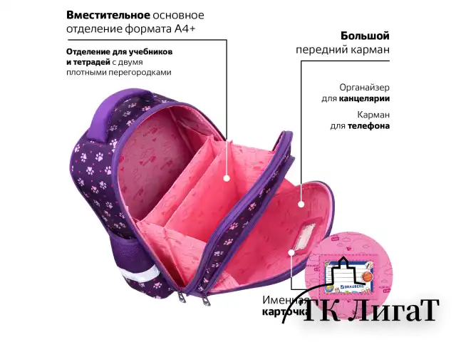 Ранец BRAUBERG KIDS STANDARD, 2 отделения, "Playing kittens", 36х28х14 см, 272038