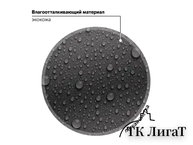 Ранец BRAUBERG SHINY, 2 отделения, с брелком, "Smiling cat", 38х28х14 см, 272040