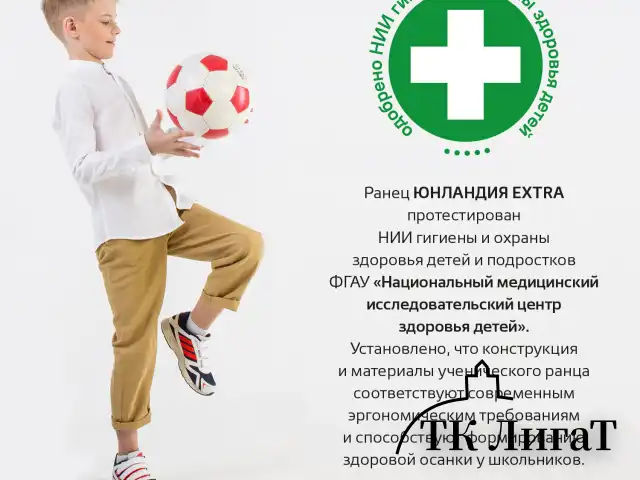Ранец ЮНЛАНДИЯ EXTRA, с дополнительным объемом, 2 отделения, "Beware", 3D-панель, 38x29x18 см, 272041