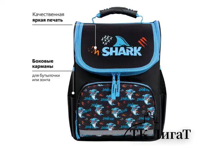Ранец ПИФАГОР BASIC, 1 отделение, 3 кармана, эргономичная спинка, "Angry shark", 35х28х18 см, 272044