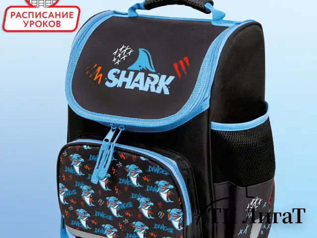 Ранец ПИФАГОР BASIC, 1 отделение, 3 кармана, эргономичная спинка, "Angry shark", 35х28х18 см, 272044