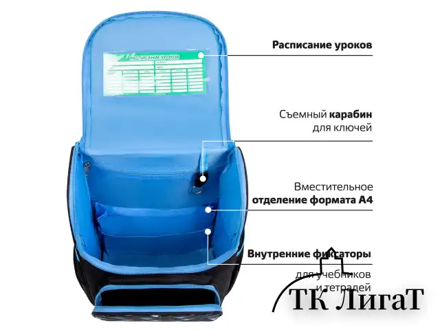 Ранец ПИФАГОР BASIC, 1 отделение, 3 кармана, эргономичная спинка, "Angry shark", 35х28х18 см, 272044