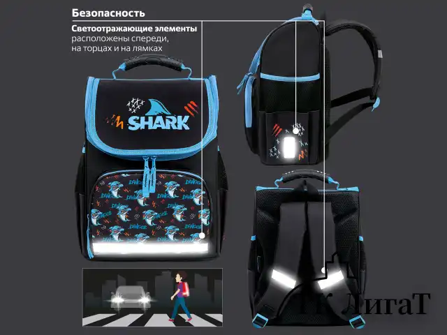 Ранец ПИФАГОР BASIC, 1 отделение, 3 кармана, эргономичная спинка, "Angry shark", 35х28х18 см, 272044