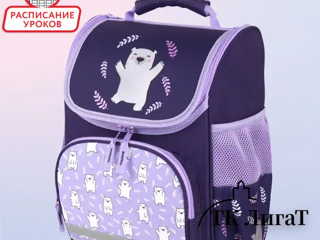 Ранец ПИФАГОР BASIC, 1 отделение, 3 кармана, эргономичная спинка, "Happy bear", 35х28х18 см, 272047