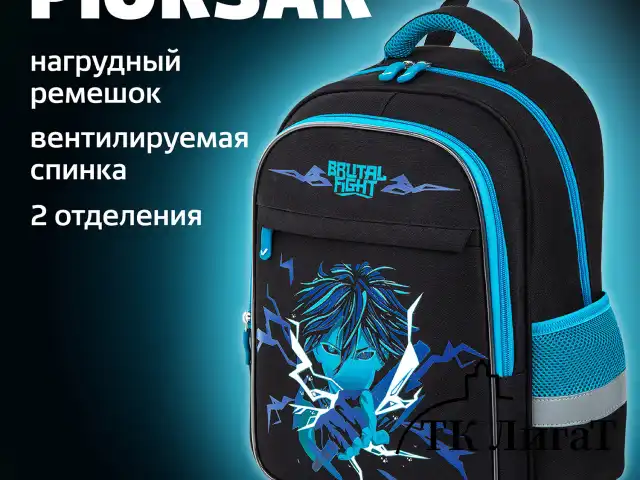 Рюкзак BRAUBERG FAVOUR, 2 отделения, 3 кармана, "Anime fight", 40х29х15 см, 272057