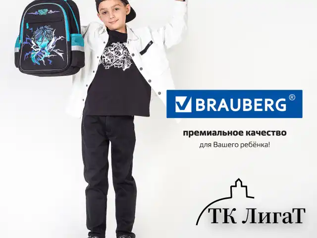 Рюкзак BRAUBERG FAVOUR, 2 отделения, 3 кармана, "Anime fight", 40х29х15 см, 272057