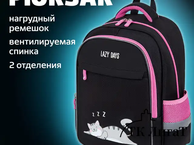 Рюкзак BRAUBERG FAVOUR, 2 отделения, 3 кармана, "Don