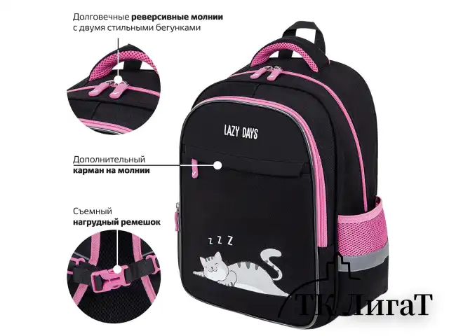 Рюкзак BRAUBERG FAVOUR, 2 отделения, 3 кармана, "Don