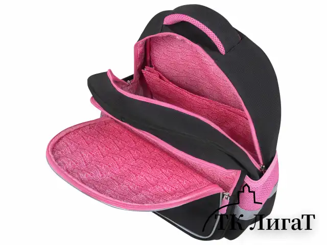 Рюкзак BRAUBERG FAVOUR, 2 отделения, 3 кармана, "Don