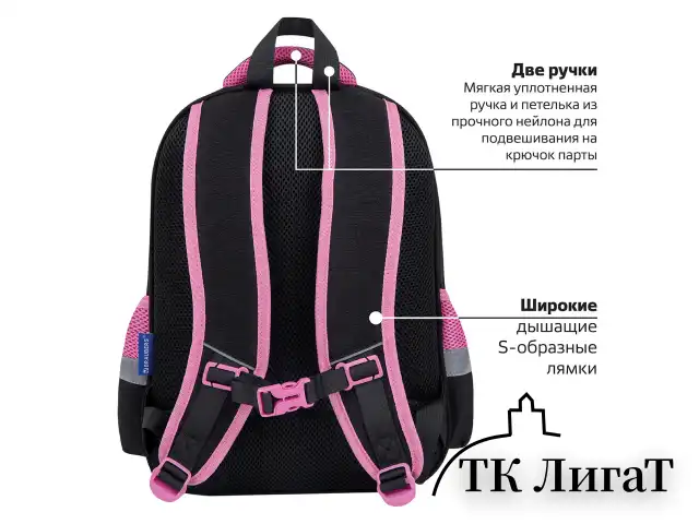 Рюкзак BRAUBERG FAVOUR, 2 отделения, 3 кармана, "Don
