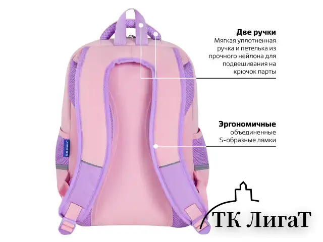 Рюкзак BRAUBERG STAR, 1 отделение, 5 карманов, "Capybara", розовый, 40x29x13 см, 272062