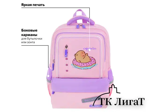 Рюкзак BRAUBERG STAR, 1 отделение, 5 карманов, "Capybara", розовый, 40x29x13 см, 272062
