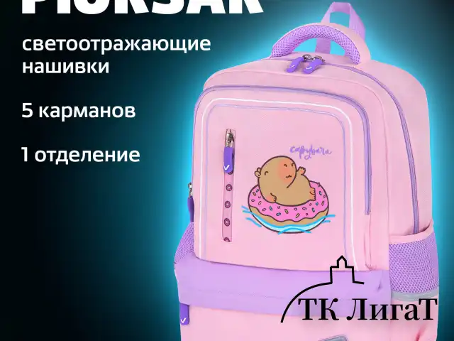 Рюкзак BRAUBERG STAR, 1 отделение, 5 карманов, "Capybara", розовый, 40x29x13 см, 272062