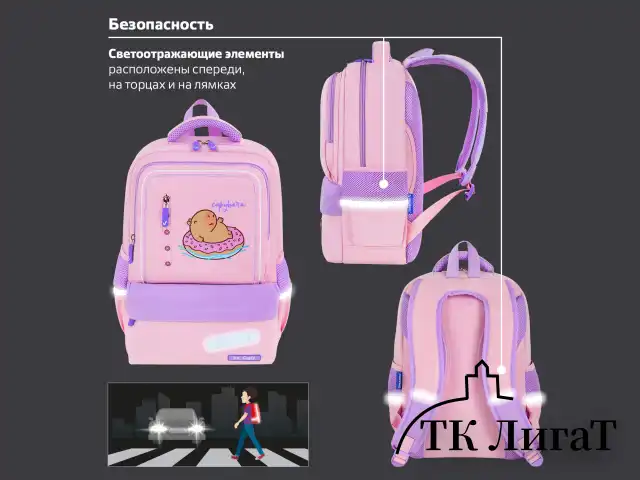 Рюкзак BRAUBERG STAR, 1 отделение, 5 карманов, "Capybara", розовый, 40x29x13 см, 272062