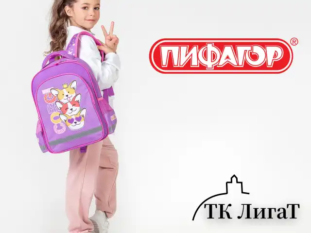Рюкзак ПИФАГОР SCHOOL, 1 отделение, 3 кармана, "Corgi queen", 38x28х14 см, 272085