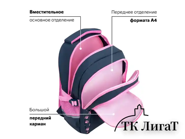 Рюкзак BRAUBERG VIBE, 2 отделения, 5 карманов, "Cat meeting", 40х28х14 см, 272089
