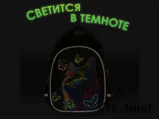 Рюкзак BRAUBERG OPTIMA, 2 отделения, с брелоком, "Butterfly catcher", СВЕТЯЩИЙСЯ, 36х27х18 см, 272097