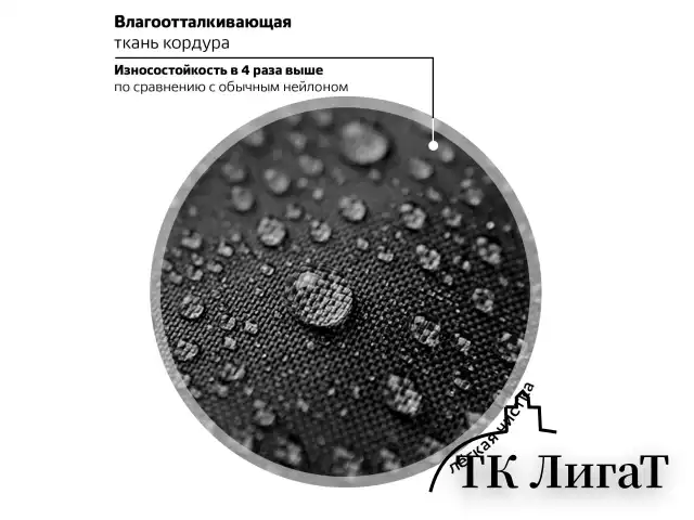 Рюкзак BRAUBERG OPTIMA, 2 отделения, с брелоком, "Butterfly catcher", СВЕТЯЩИЙСЯ, 36х27х18 см, 272097