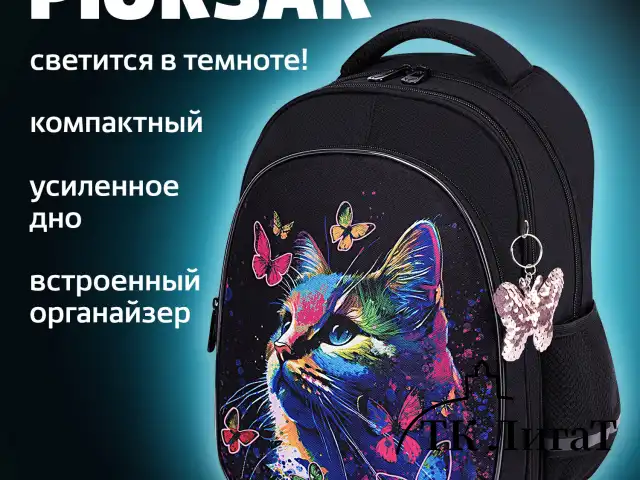 Рюкзак BRAUBERG OPTIMA, 2 отделения, с брелоком, "Butterfly catcher", СВЕТЯЩИЙСЯ, 36х27х18 см, 272097