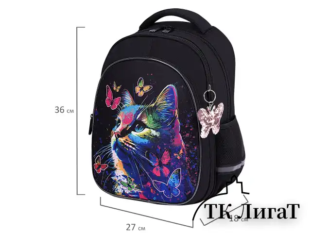 Рюкзак BRAUBERG OPTIMA, 2 отделения, с брелоком, "Butterfly catcher", СВЕТЯЩИЙСЯ, 36х27х18 см, 272097