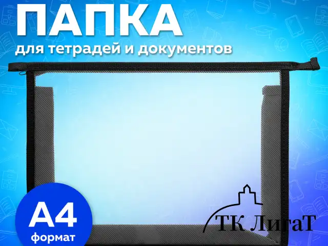Папка для тетрадей А4 ПИФАГОР, пластик, молния сверху, прозрачная, черный, 272107