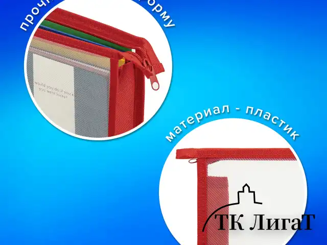 Папка для тетрадей А4 ПИФАГОР, пластик, молния сверху, прозрачная, красный, 272108
