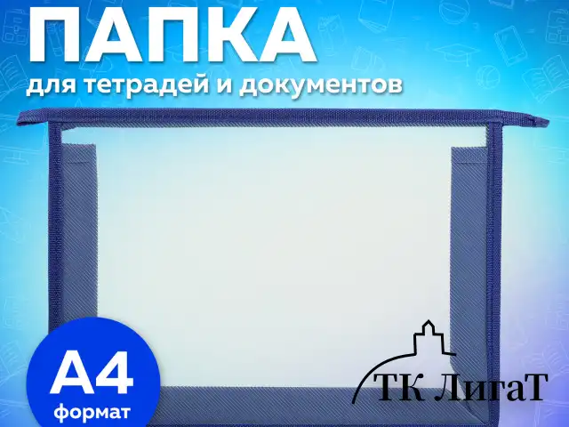 Папка для тетрадей А4 ПИФАГОР, пластик, молния сверху, прозрачная, синий, 272109