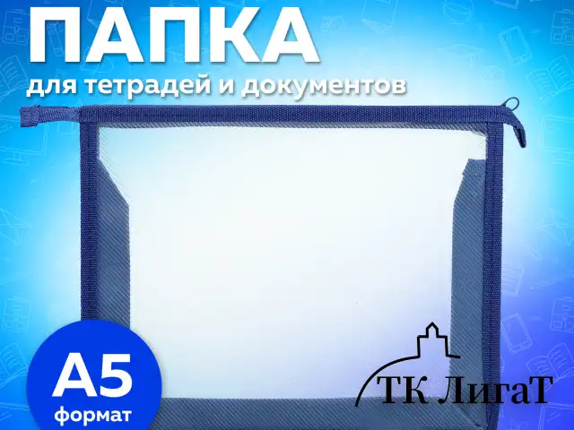 Папка для тетрадей ПИФАГОР А5, пластик, молния сверху, прозрачная, синий, 272115