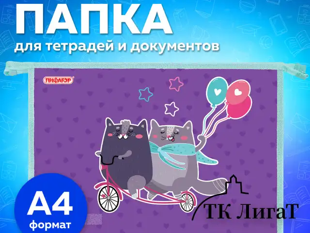Папка для тетрадей ПИФАГОР А4, 1 отделение, картон/пластик, на молнии, "Bike cats", 272125