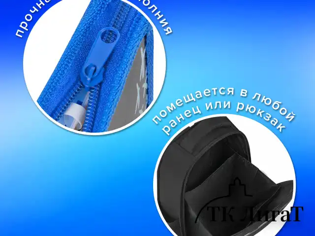 Папка для тетрадей ПИФАГОР А4, 1 отделение, картон/пластик, на молнии, "Angry shark", 272129