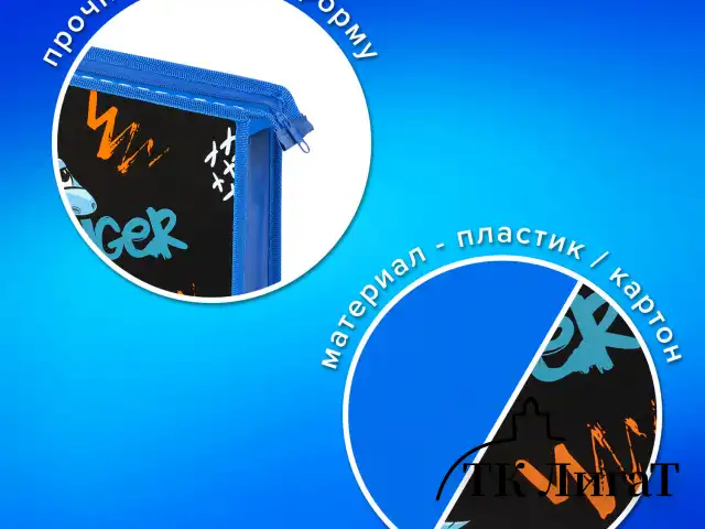 Папка для тетрадей ПИФАГОР А4, 1 отделение, картон/пластик, на молнии, "Angry shark", 272129