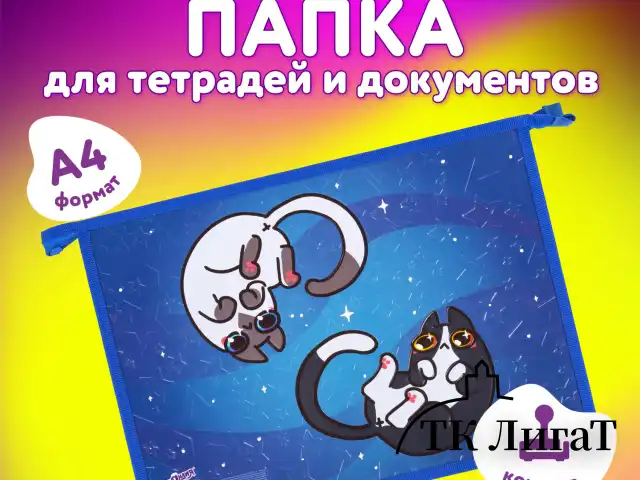 Папка для тетрадей ЮНЛАНДИЯ А4, 1 отделение, картон/пластик, конгрев, на молнии, "Ying Yang", 272132