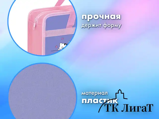 Папка на молнии с ручками BRAUBERG А4, 1 отделение, пластик, 80 мм, "Meow", 272163