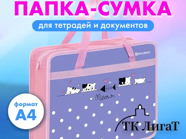 Папка на молнии с ручками BRAUBERG А4, 1 отделение, пластик, 80 мм, "Meow", 272163