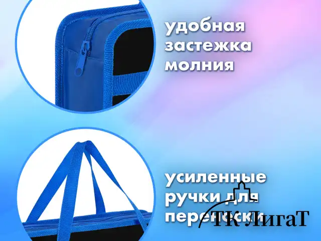 Папка на молнии с ручками BRAUBERG А4, 1 отделение, пластик, 80 мм, "Wild face", 272166