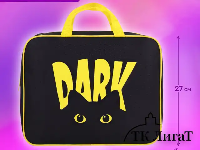 Папка на молнии с ручками BRAUBERG А4, 1 отделение, полиэстер, 80 мм, "Dark cat", 272178