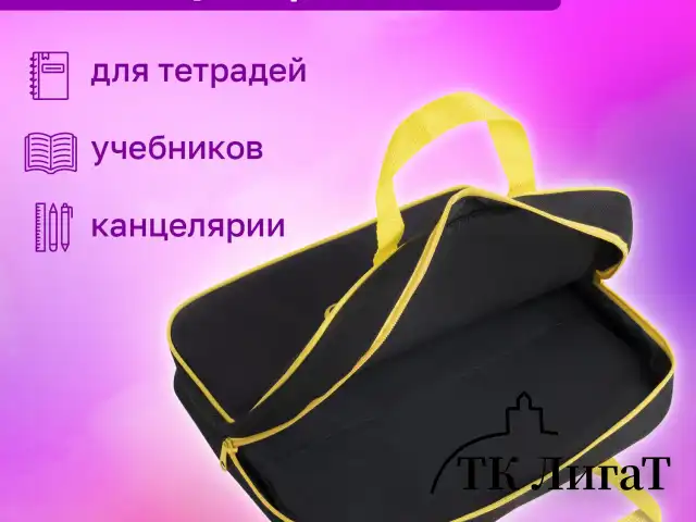 Папка на молнии с ручками BRAUBERG А4, 1 отделение, полиэстер, 80 мм, "Dark cat", 272178