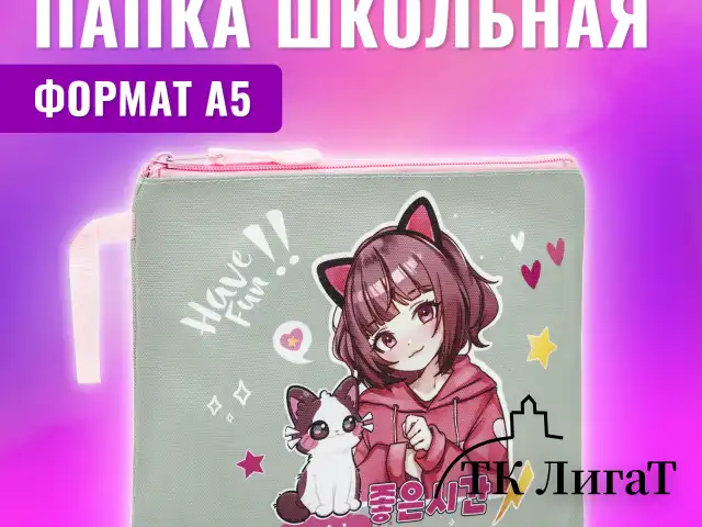 Папка для тетрадей BRAUBERG А5, 1 отделение, полиэстер, на молнии, с ручкой, "Anime friends", 272202