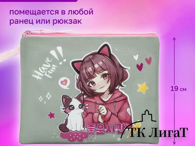 Папка для тетрадей BRAUBERG А5, 1 отделение, полиэстер, на молнии, с ручкой, "Anime friends", 272202
