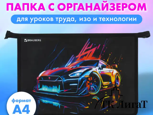 Папка для труда на молнии BRAUBERG А4, 2 отделения, органайзер, "Neon drift", 272213