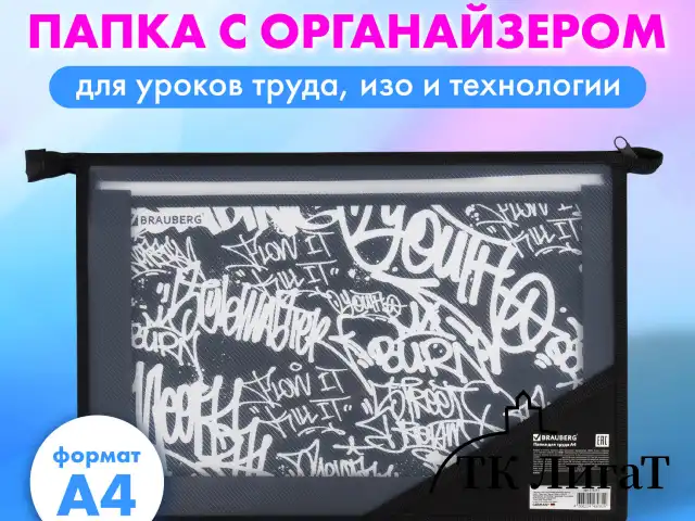 Папка для труда BRAUBERG А4, 2 отделения, пластик, молния сверху, органайзер, "Graffiti", 272215