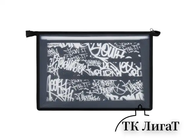 Папка для труда BRAUBERG А4, 2 отделения, пластик, молния сверху, органайзер, "Graffiti", 272215