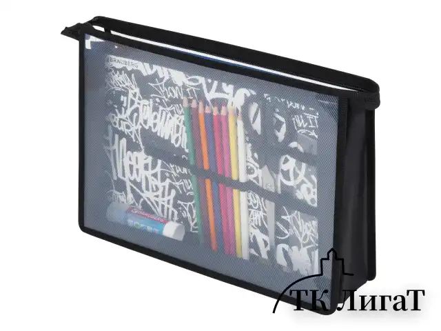 Папка для труда BRAUBERG А4, 2 отделения, пластик, молния сверху, органайзер, "Graffiti", 272215