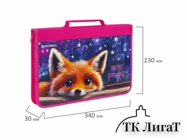 Папка на молнии BRAUBERG А4 с ручкой, с органайзером, 1 отделение, "Cute fox", 272217