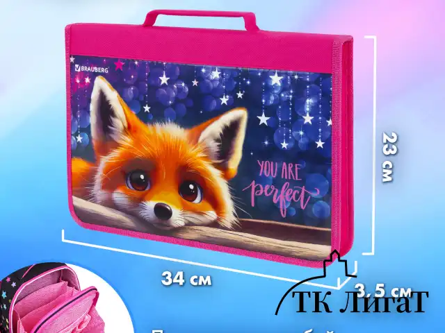Папка на молнии BRAUBERG А4 с ручкой, с органайзером, 1 отделение, "Cute fox", 272217