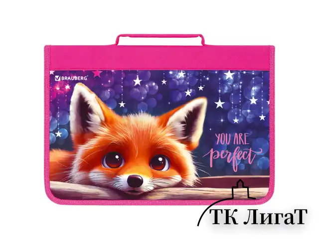 Папка на молнии BRAUBERG А4 с ручкой, с органайзером, 1 отделение, "Cute fox", 272217