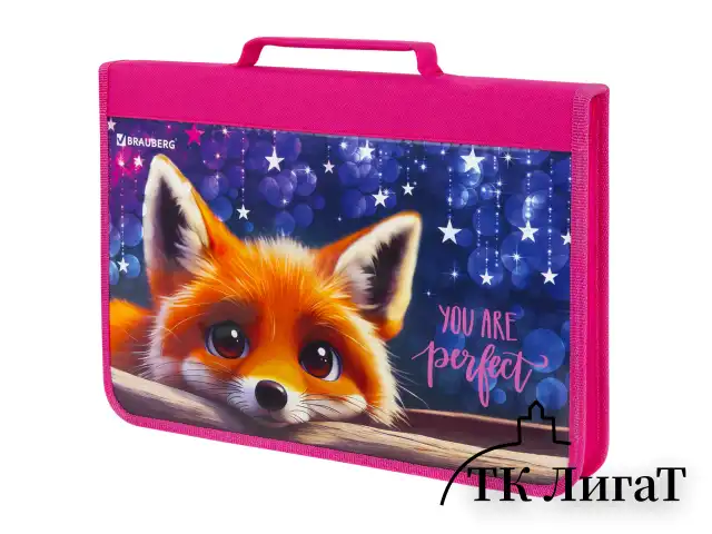 Папка на молнии BRAUBERG А4 с ручкой, с органайзером, 1 отделение, "Cute fox", 272217